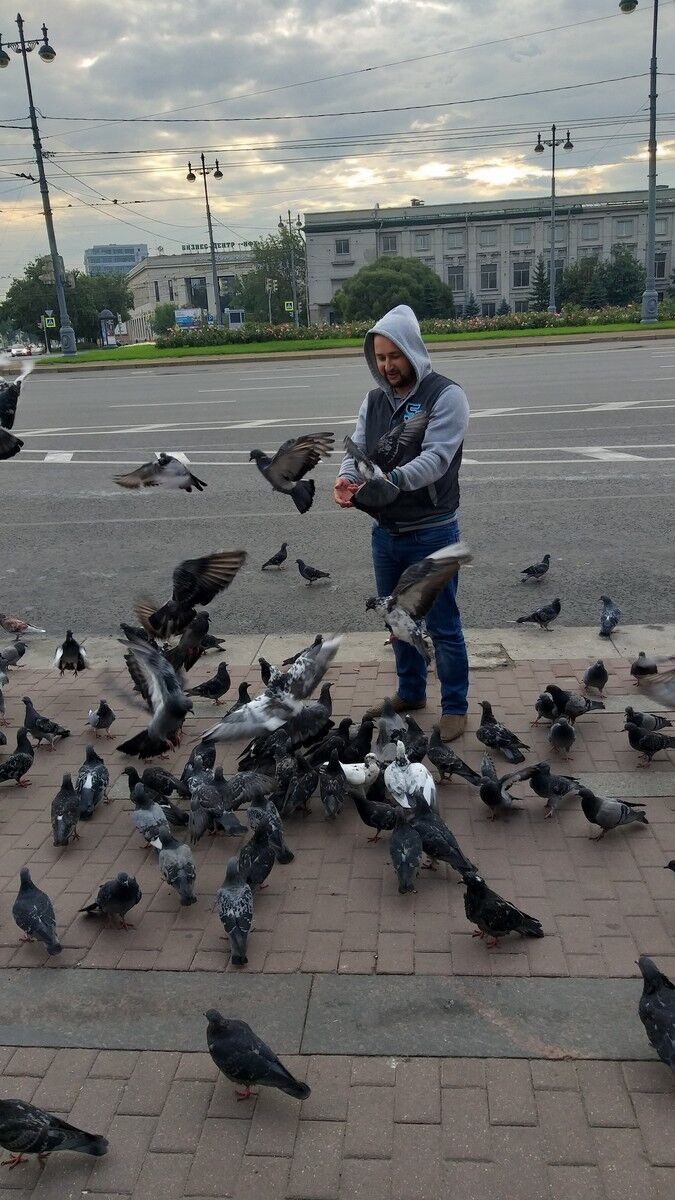  -,   , 39 ,   ,   , c 