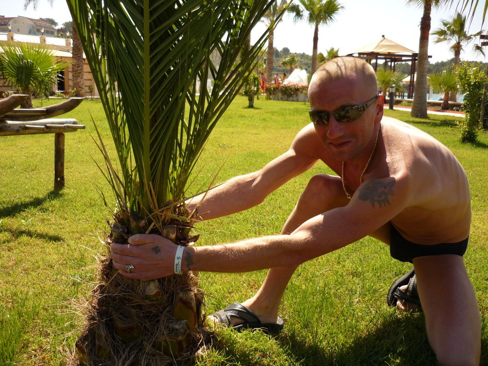 ���������� ������, ���� ������� ����, 38 ���, ������������ 