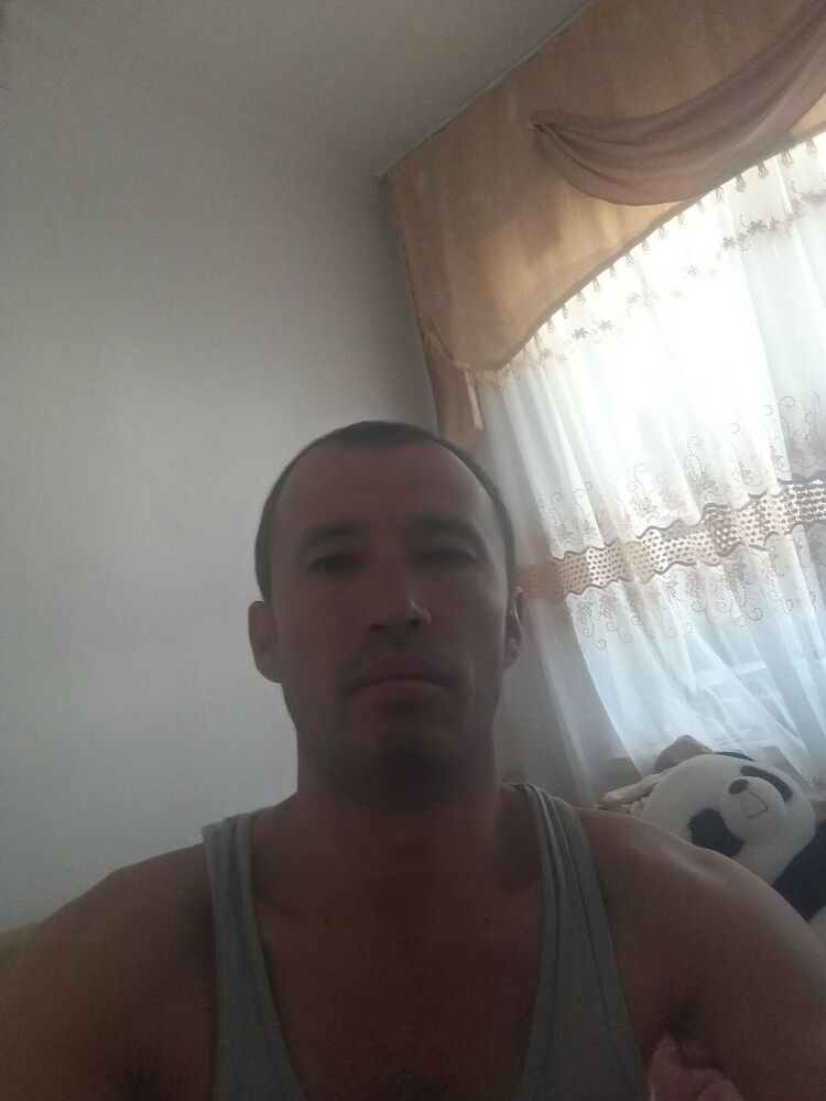  23712038  , 43 ,    