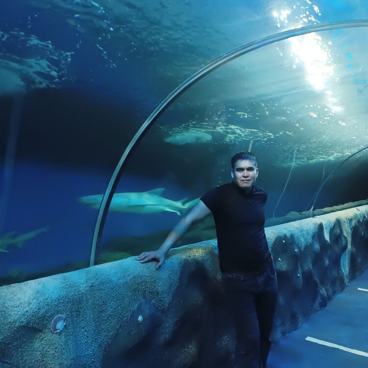 ���� 35461438 ������� �����, 31 ���, ���� ���������� � �����������