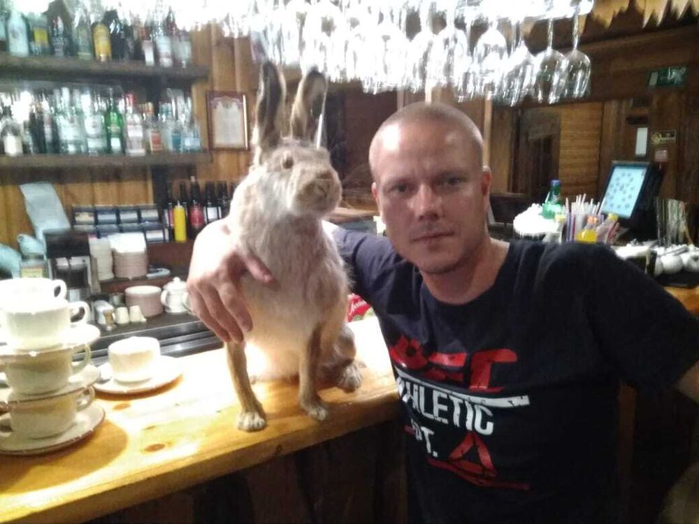  ,   , 41 ,   ,   