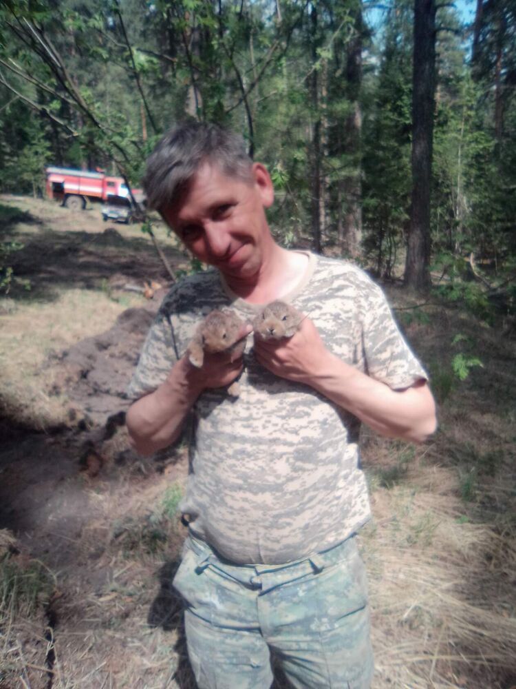  ,   , 48 ,   