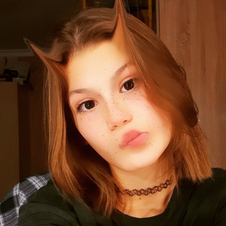  24845578  , 21 ,    