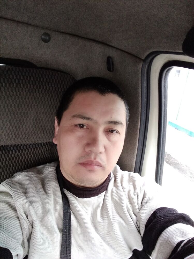  20804168  , 50 ,    