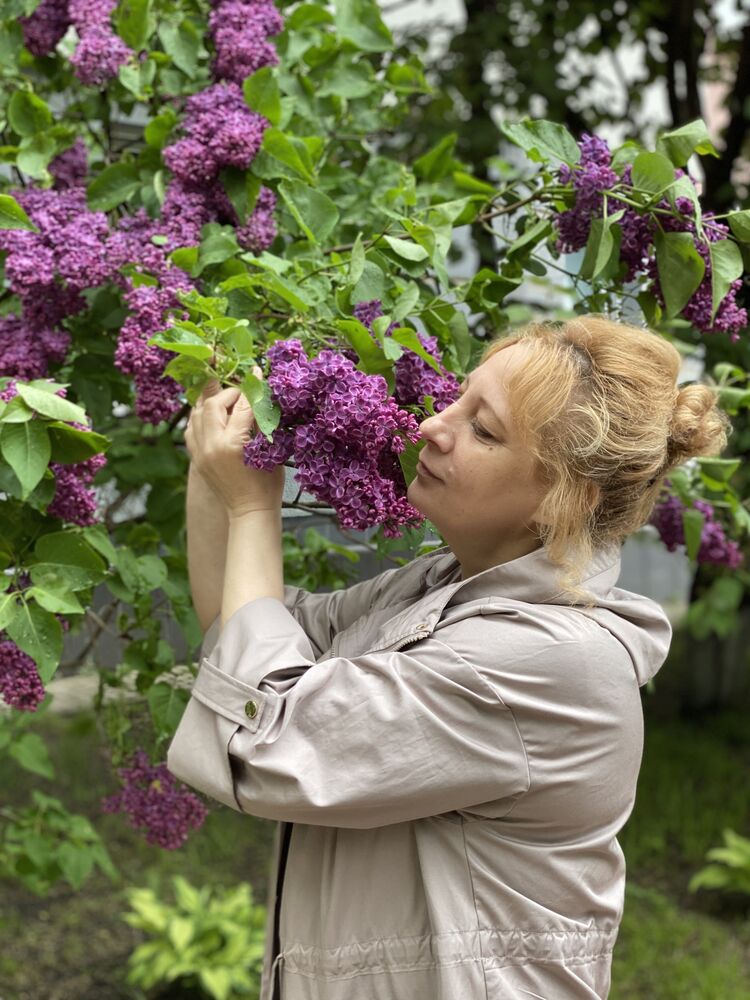 ���� 26819258 ������� �����, 50 ���, ���� ���������� � ������