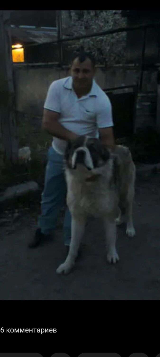 ���������� ������, ���� ������� �������, 45 ���, ������������ ��� ������