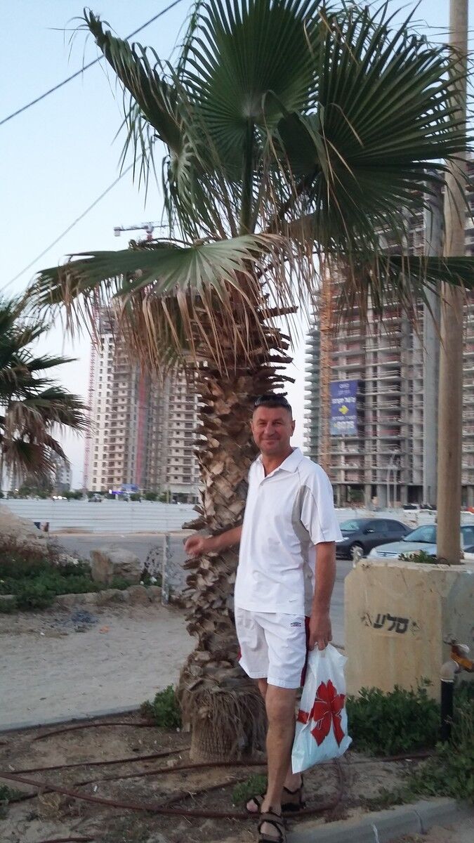  17137628  , 50 ,    Hadera