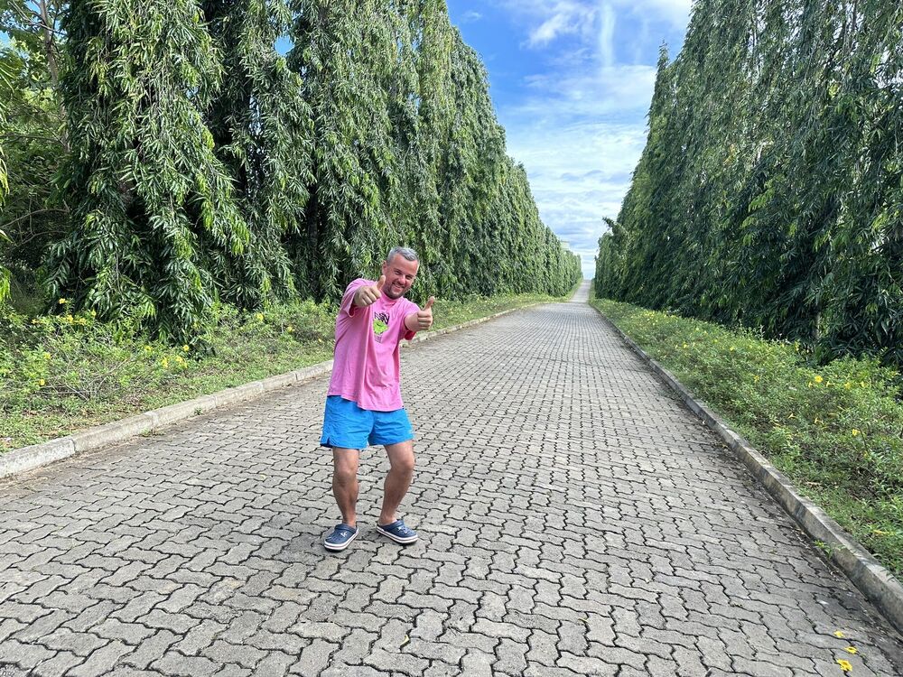 ���������� ������, ���� ������� ����, 40 ���, ������������ ��� ����� � ���������, c�������� ���������