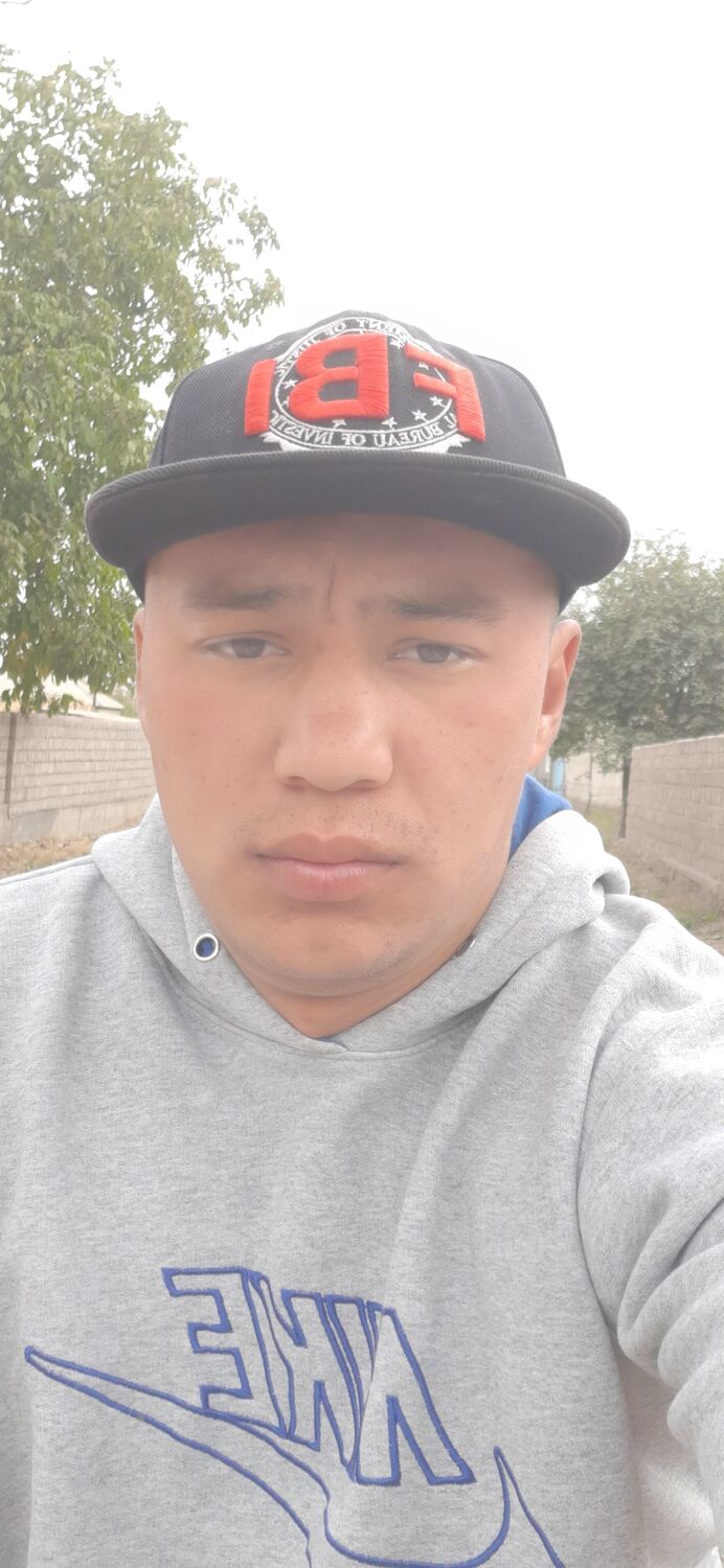  31847688  , 28 ,    
