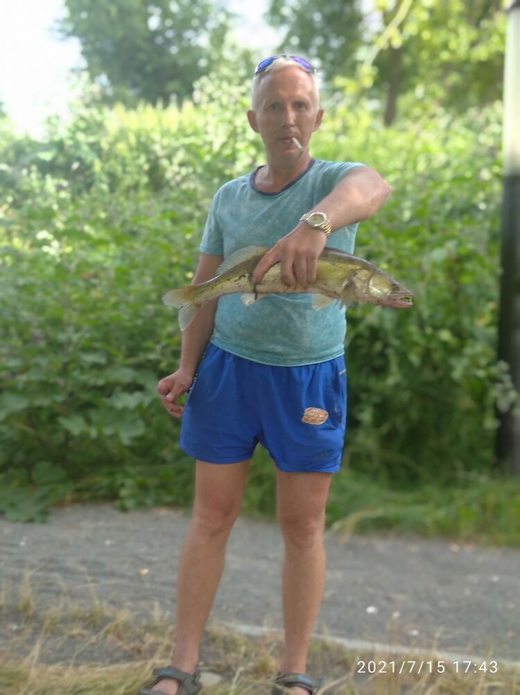  ,   , 53 ,   c 