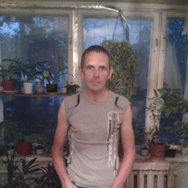 ���� 9794728 ������� �����, 43 ����, ���� ���������� � ����