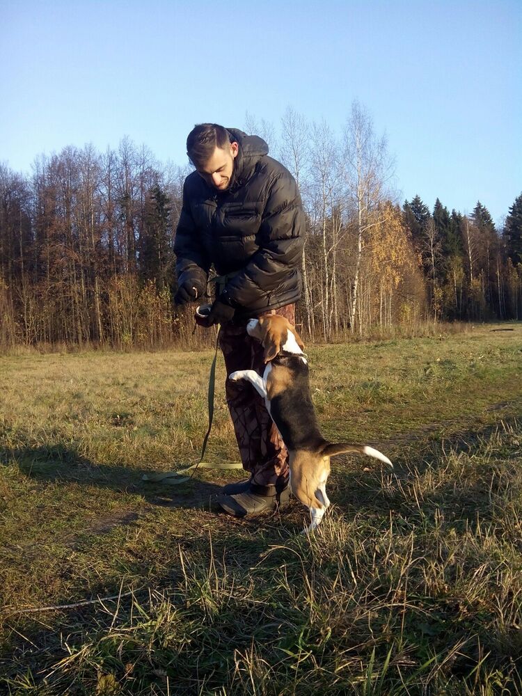 ���� 28481258 ������� ����, 28 ���, ���� ���������� � ������