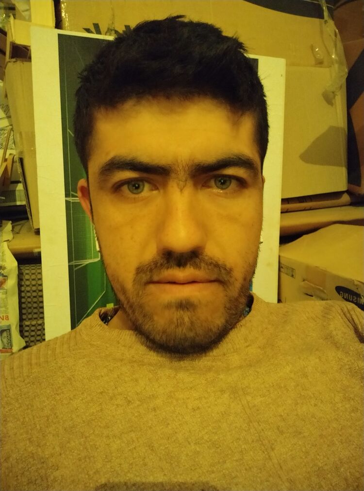 ���� 25065188 ������� Lutfillo, 31 ���, ���� ���������� � ��������