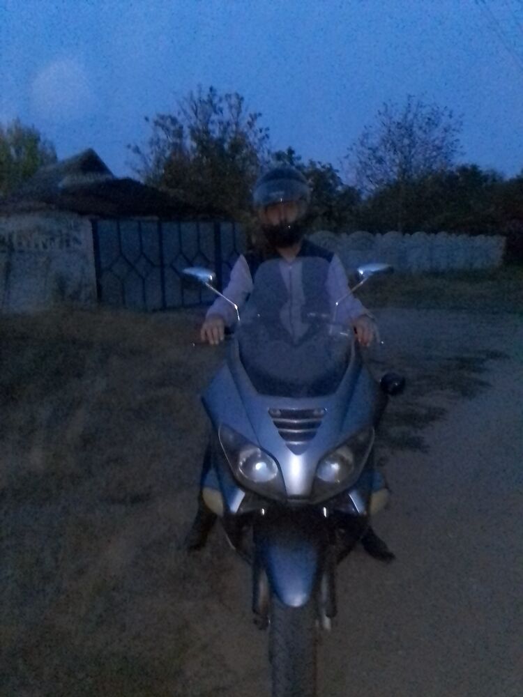  38003178  , 53 ,    