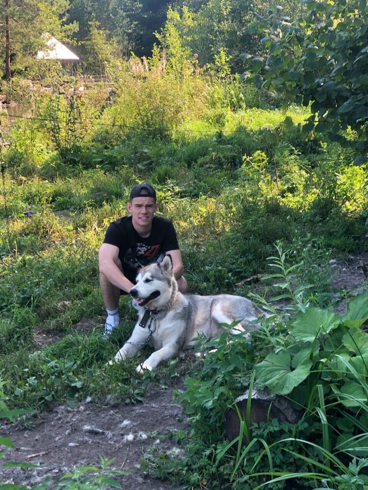 ���� 31020388 ����� �������, 25 ���, ���� ���������� � ������