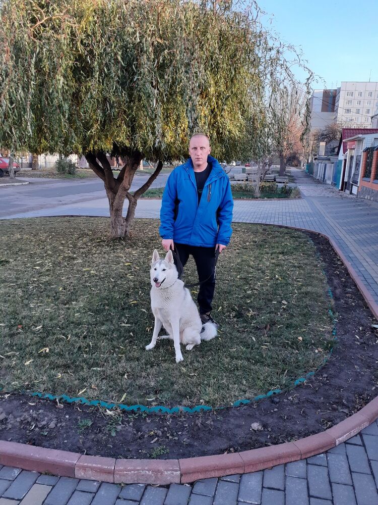 ���� 19044268 ������� Slavoncik, 39 ���, ���� ���������� � �����