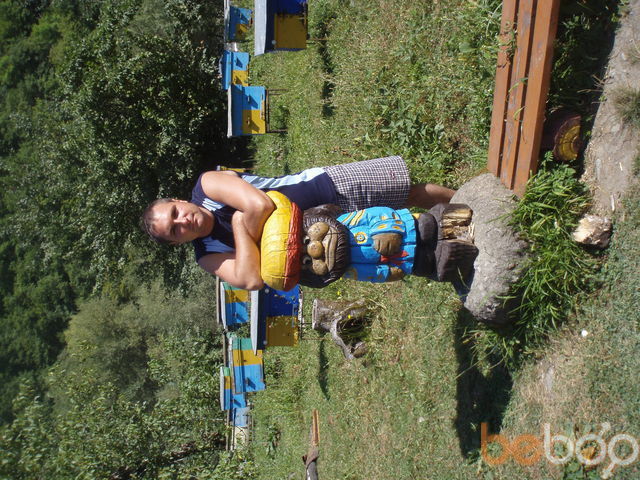 ���������� ������-��-����, ���� ������� Rime, 48 ���, ������������ ��� ������, ����� � ���������, c�������� ���������