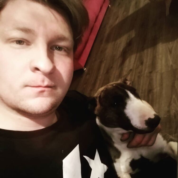 ���������� ������, ���� ������� �������, 29 ���, ������������ ��� ������, ����� � ���������, c�������� ���������