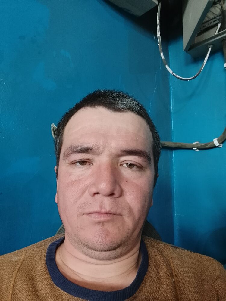  51084638  , 34 ,    