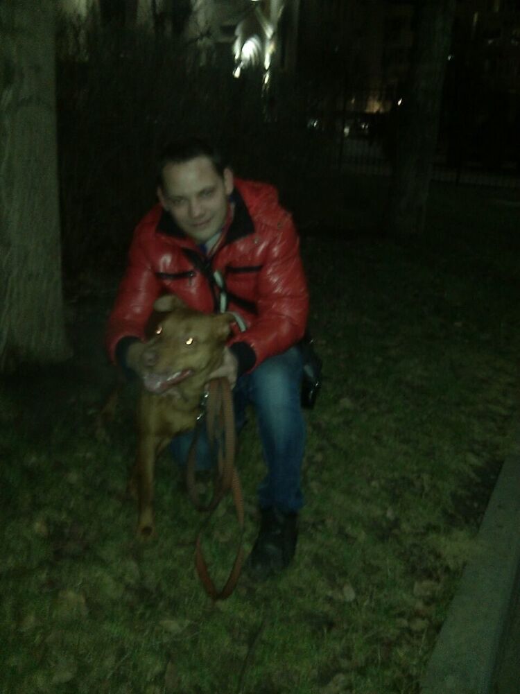 ���������� ������-��-����, ���� ������� ������, 42 ����, ������������ ��� ������, ����� � ���������, c�������� ���������