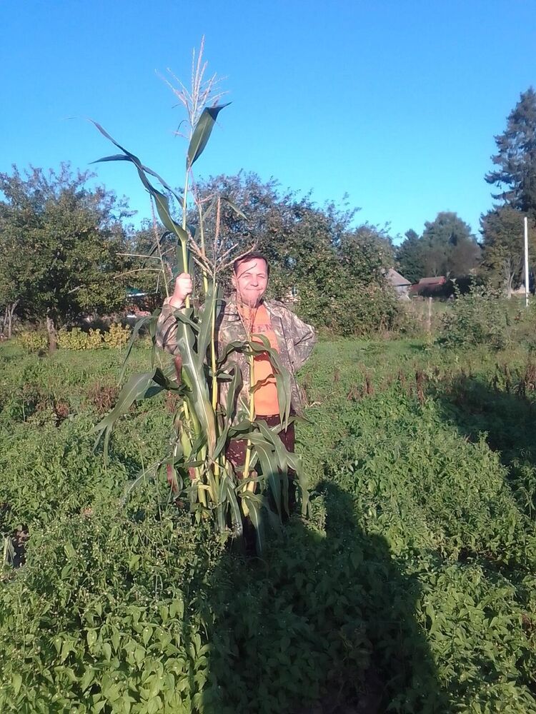 ���� 24818368 ������� �������, 54 ����, ���� ���������� � ���������