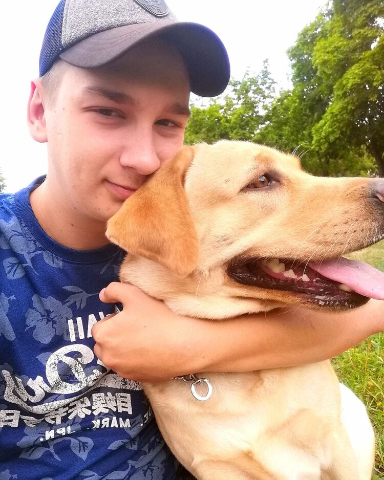 ���������� �������, ���� ������� ������, 29 ���, ������������ ��� ������, ����� � ���������, c�������� ���������