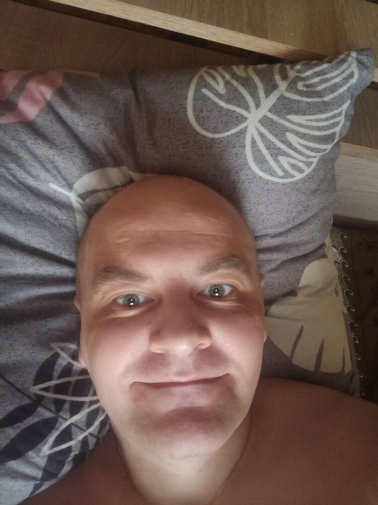  53501688  , 43 ,    