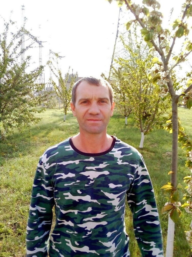 ���� 12070238 ������� ������, 46 ���, ���� ���������� � ����������