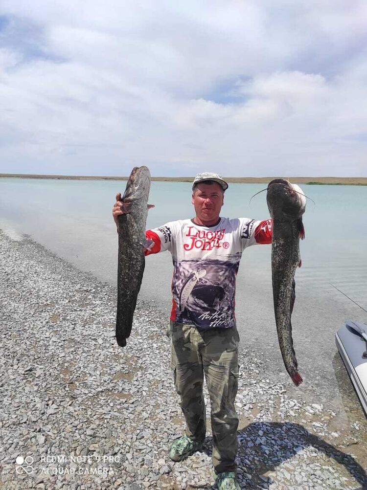 ���������� �����, ���� ������� �������, 37 ���, ������������ ��� ������, ����� � ���������