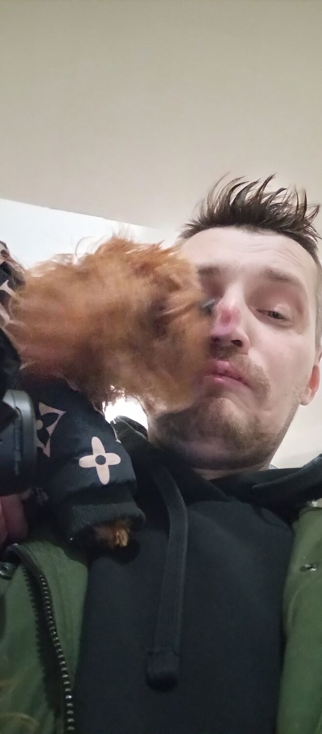 ���������� �������, ���� ������� �����, 37 ���, ������������ ��� ������, ����� � ���������, c�������� ���������, ���������