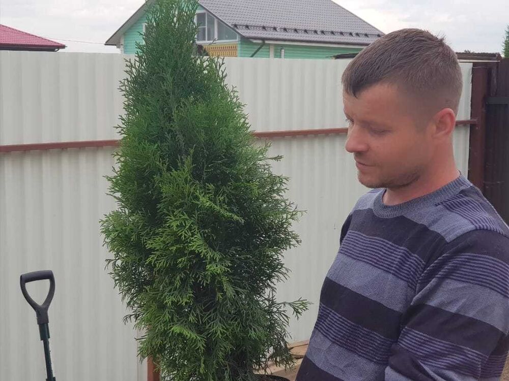 ���� 12726418 ������� ������, 46 ���, ���� ���������� � ������������