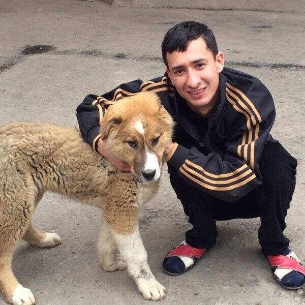 ���� 5782048 ������� �����, 39 ���, ���� ���������� � ��������