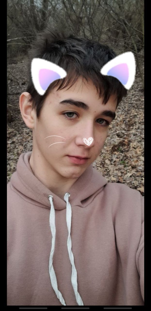  34295578  , 20 ,    