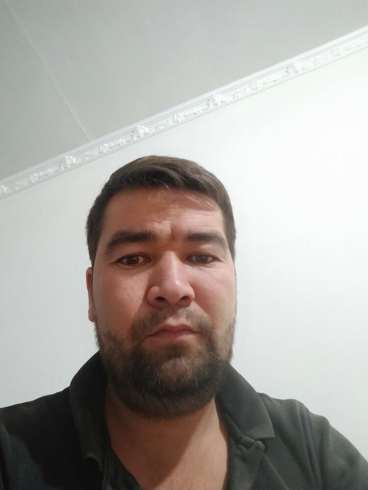  24155948  , 34 ,    