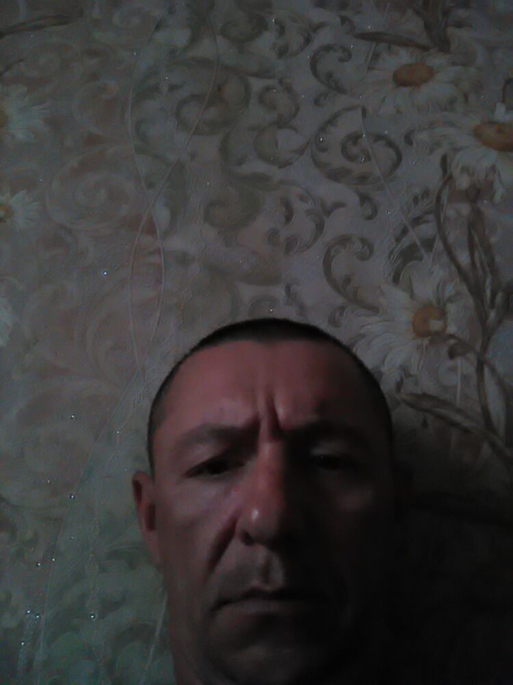  42546208  , 39 ,    