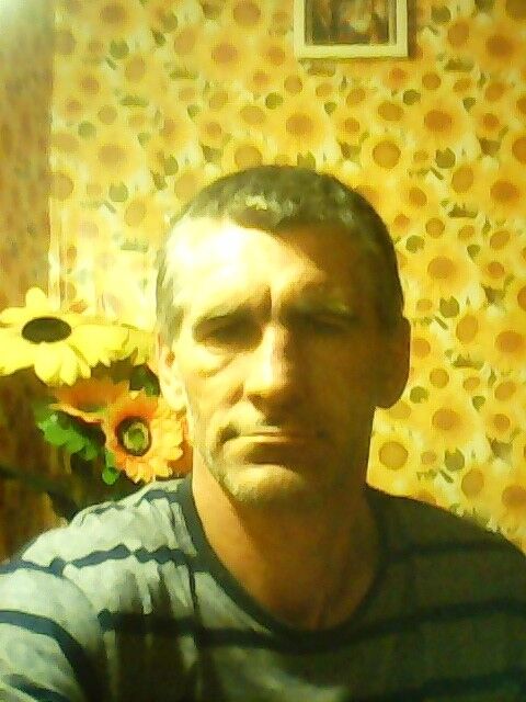  16642088  , 51 ,    