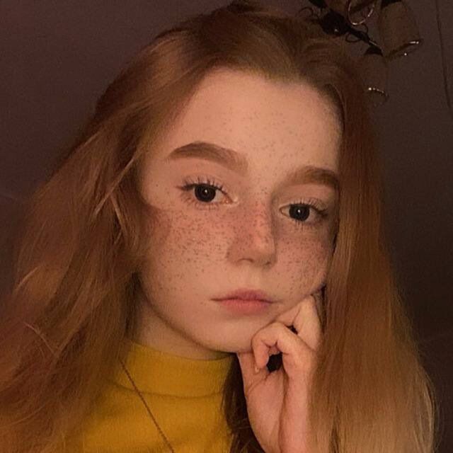 ���� 33113088 ������� ����������, 23 ����, ���� ���������� � ������