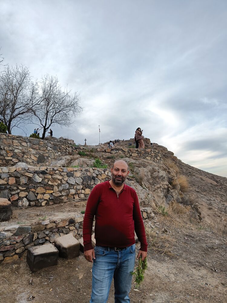 ���� 26554288 ������� Arm, 46 ���, ���� ���������� � �������