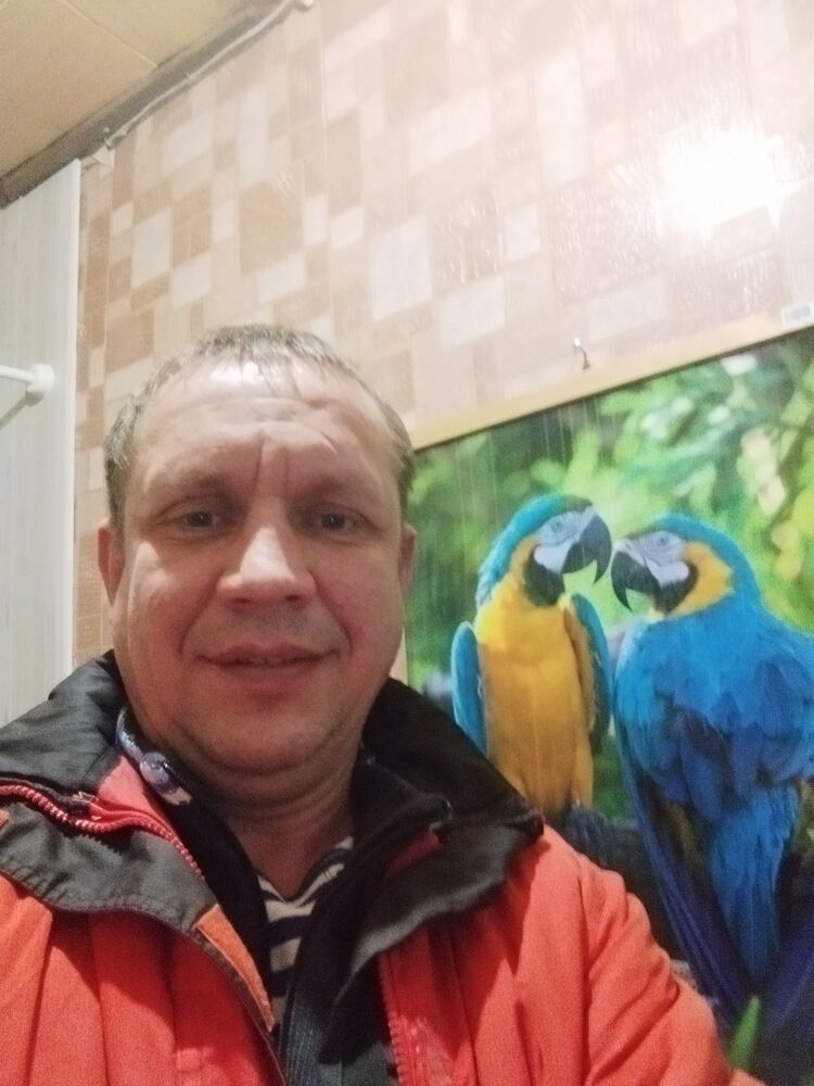  31168648  , 45 ,    