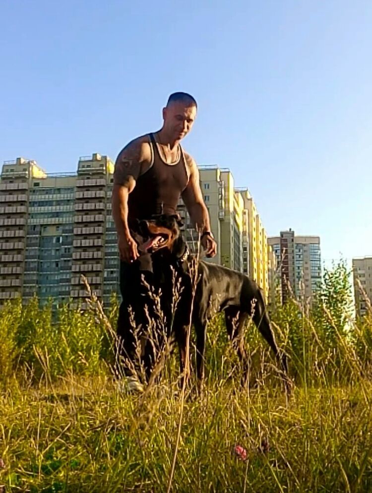 ���������� �����-���������, ���� ������� �����, 40 ���, ������������ ��� ������, ����� � ���������, c�������� ���������, ���������