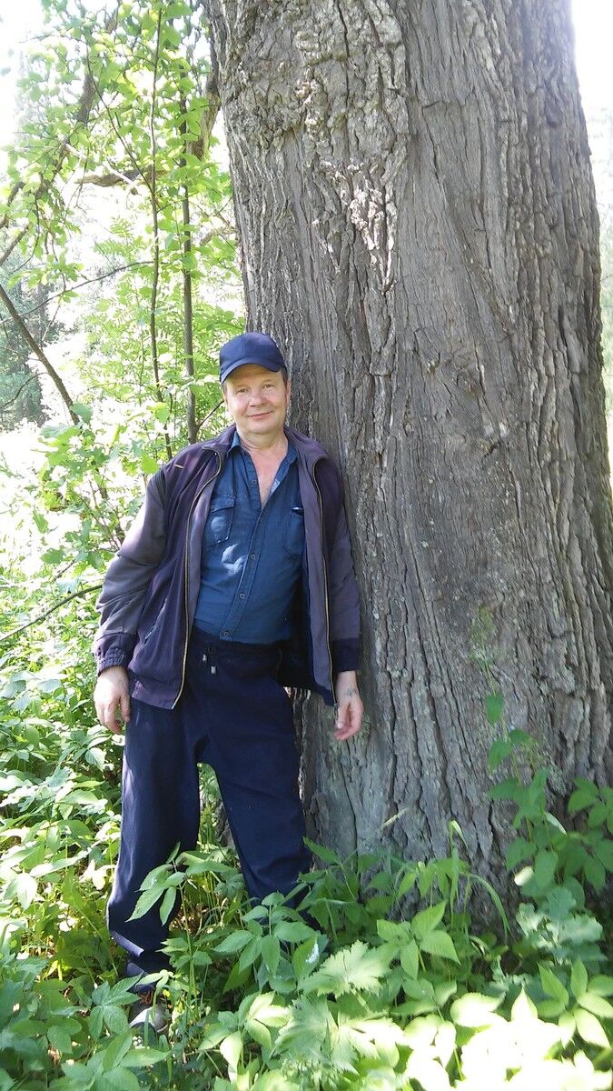  ,   , 62 ,   
