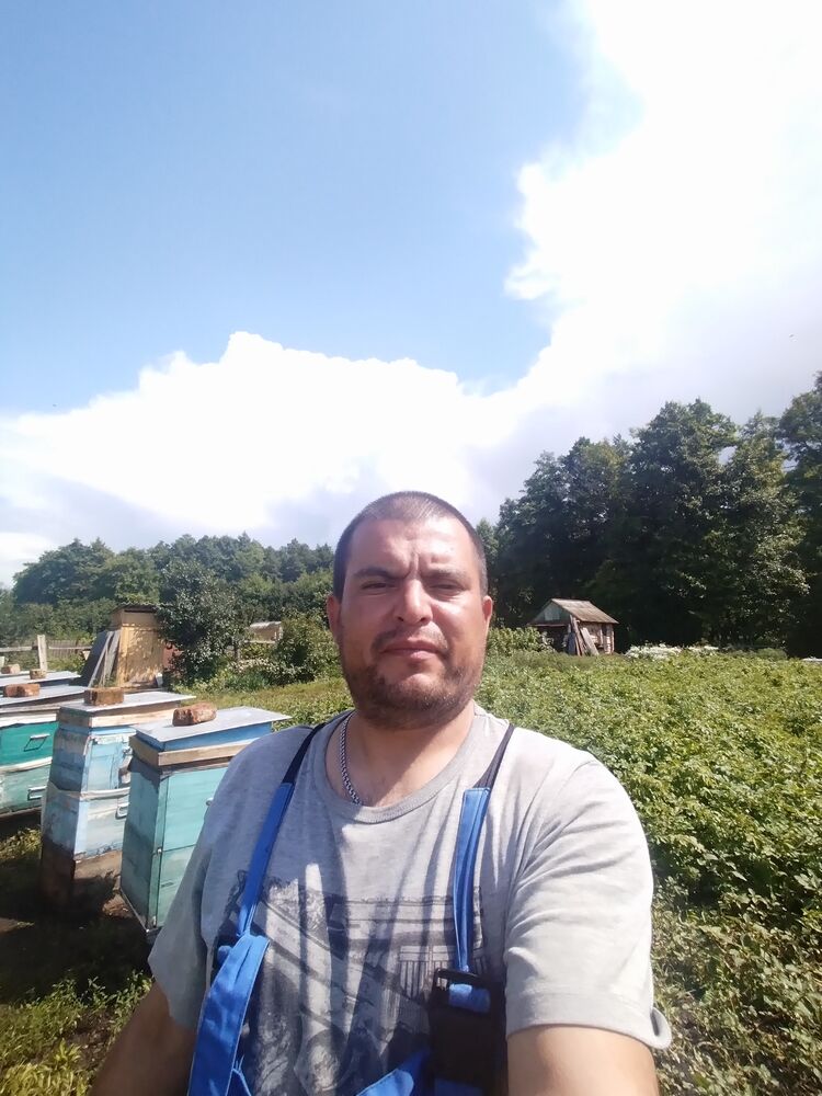  45559468  , 42 ,    
