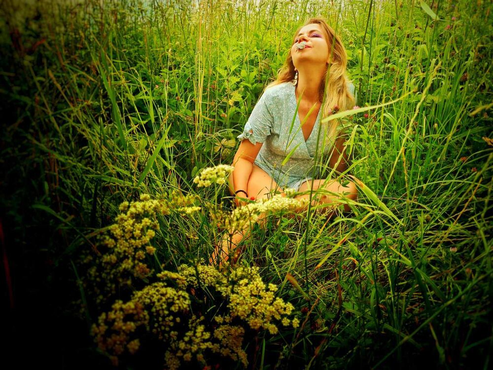 ���������� �����, ���� ������� ����, 33 ����, ������������ ��� ������, ����� � ���������