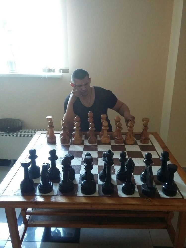  36486208  , 33 ,    