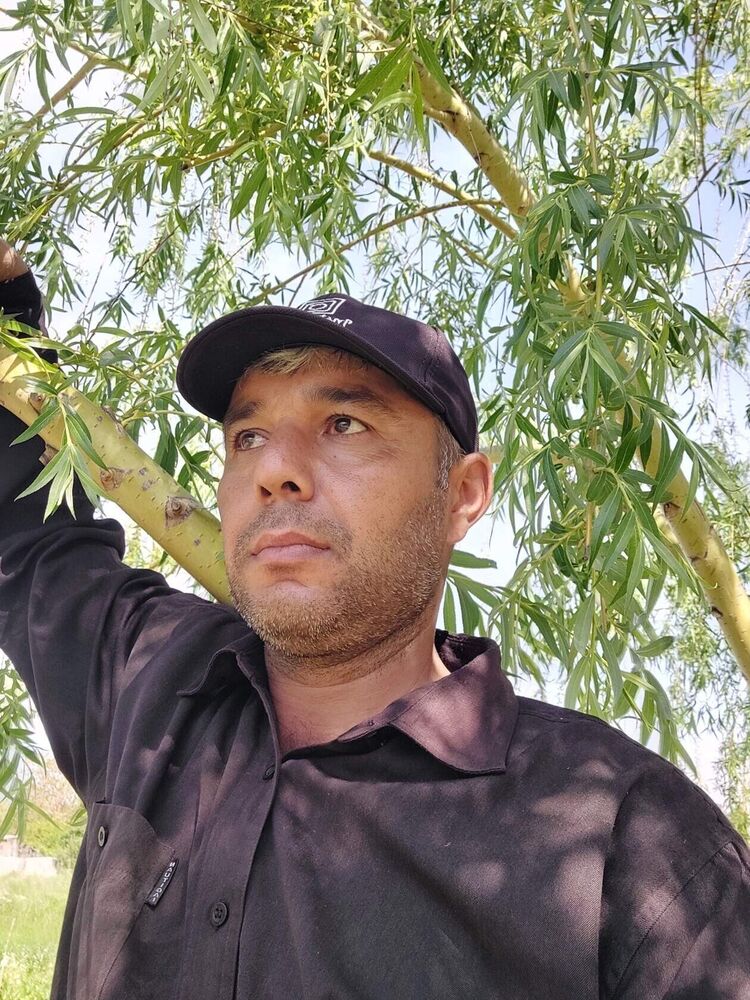 ���� 27820198 ������� ����, 44 ����, ���� ���������� � ������