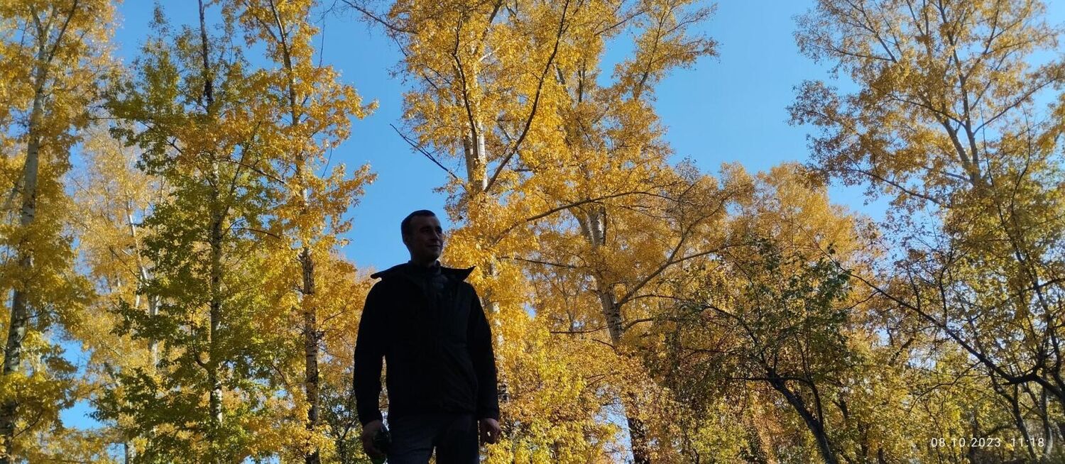 ���� 38690508 ������� ������, 32 ����, ���� ���������� � ��������������-����������