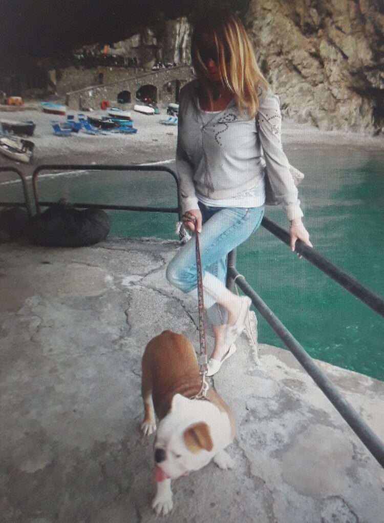 ���� 43091778 ������� �������, 45 ���, ���� ���������� � �����-����������