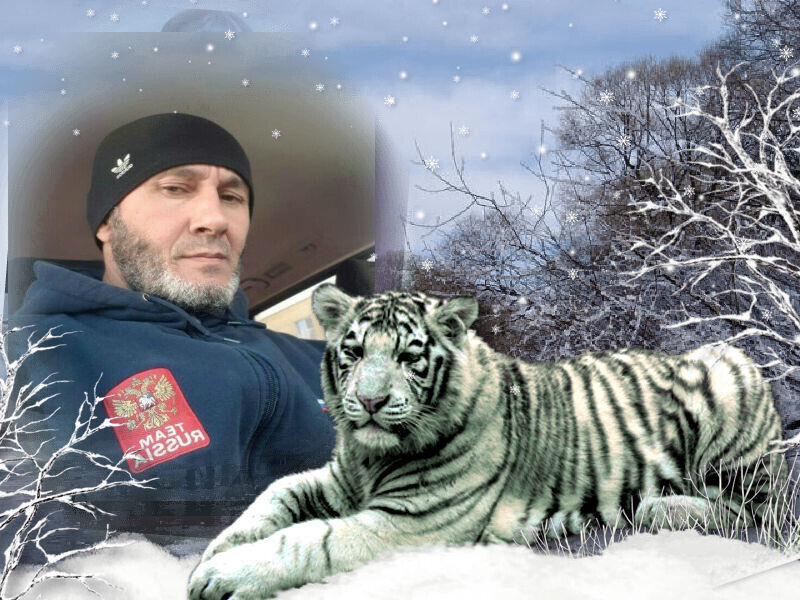 ���������� ��������, ���� ������� �����, 56 ���, ������������ ��� ������, ����� � ���������