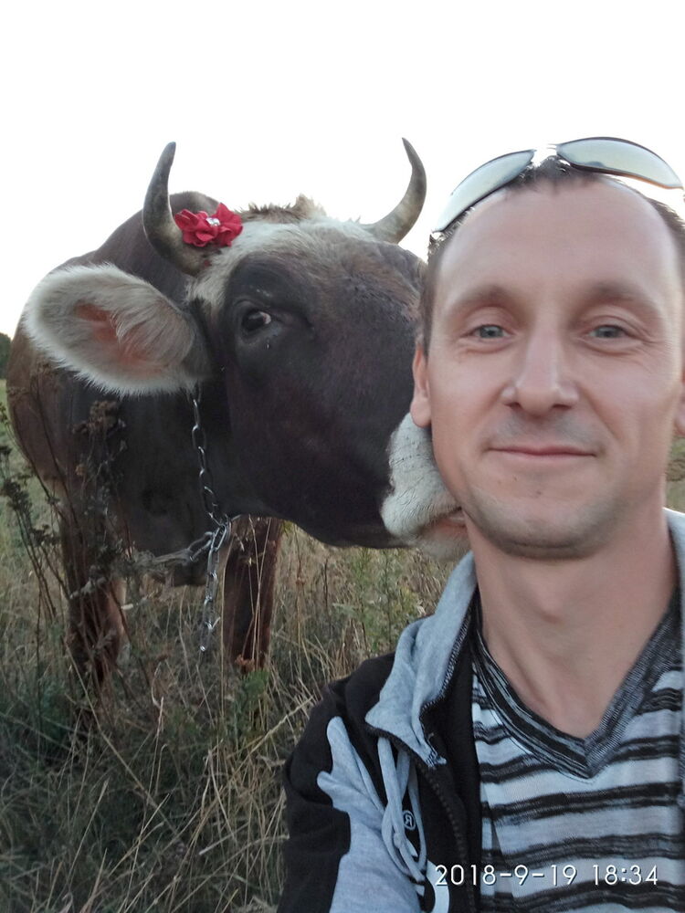 ���� 17764348 ������� ���������, 45 ���, ���� ���������� � ��������