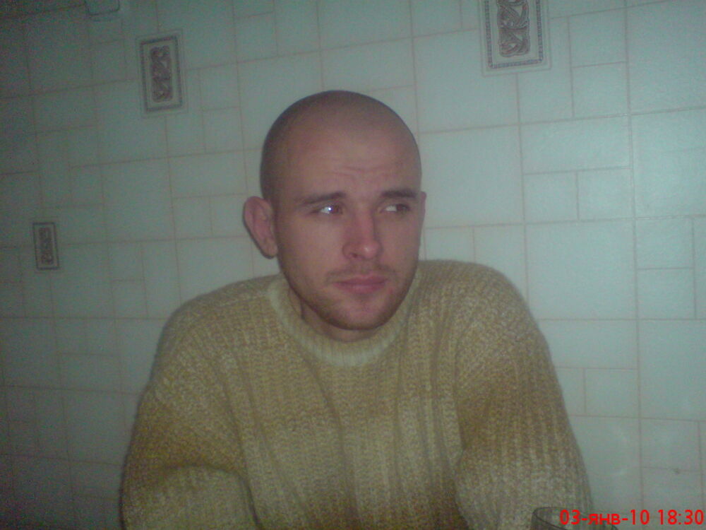  ,   ˸, 41 ,   ,   , c 